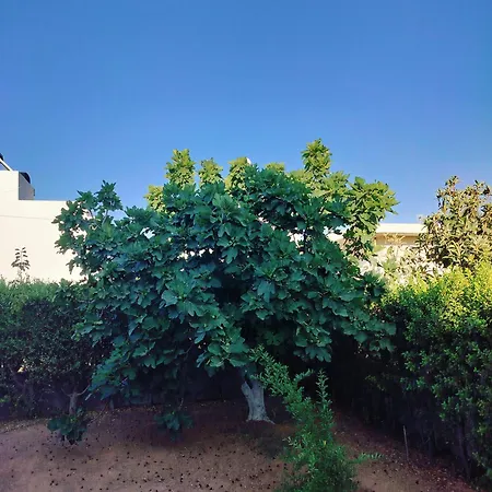 Oasis Maisonette *